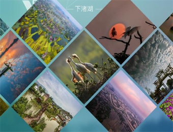 浙江團(tuán)建基地-下渚湖星空營地