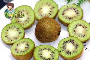 禮縣獼猴桃購(gòu)買指南 不可錯(cuò)過(guò)的選購(gòu)與食用秘訣
