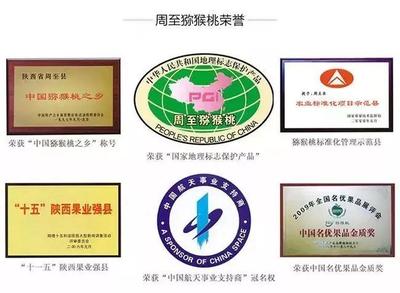 周至獼猴桃盼銷路 萬千兒女的呼喚，您的援手見真情